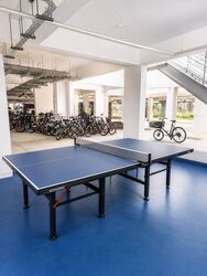 Amaryllis Ville (D11), Condominium #599705341